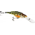 Livetarget Yellow Perch