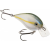 Strike King KVD Series Crankbait - Gold