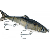 Cabela's RealImage HDS Swimbait - Brown