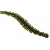 Grande Bass Rattlesnake - Gold