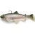 Castaic Boot Tail Rainbow Trout Swimbait