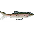 Storm Live Kickin' Minnow - Silver