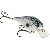River2Sea Biggie Poppa Bumpin' Crankbait