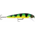 Storm FlatStick Jointed - Gold