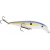 Strike King KVD Jerkbait - Clear