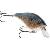 Cabela's RealImage HDS Flat-Sided Pork Chop