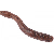 Zoom Mag Finesse Worm - Red