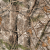 Cabela's Men's Silent Suede Pants with 4MOST DRY-Plus - Zonz Woodlands 'Camouflage' (W36)