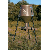 Boss Buck 200 lb. All-In Protein Feeder