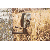 HME Trail Camera Holder Tree Mount