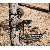 Big Game Treestands Platinum Prodigy Hang-On Stand