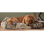 Cabela's Camo Berber Cloud Cube Dog Bed (MEDIUM)