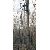 River's Edge Uppercut 21' Ladder Stand