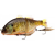 Jackall Gantarel Swimbait