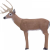 Delta Target Bloodline Buck 3-D